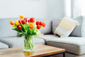 Tulips in the living room