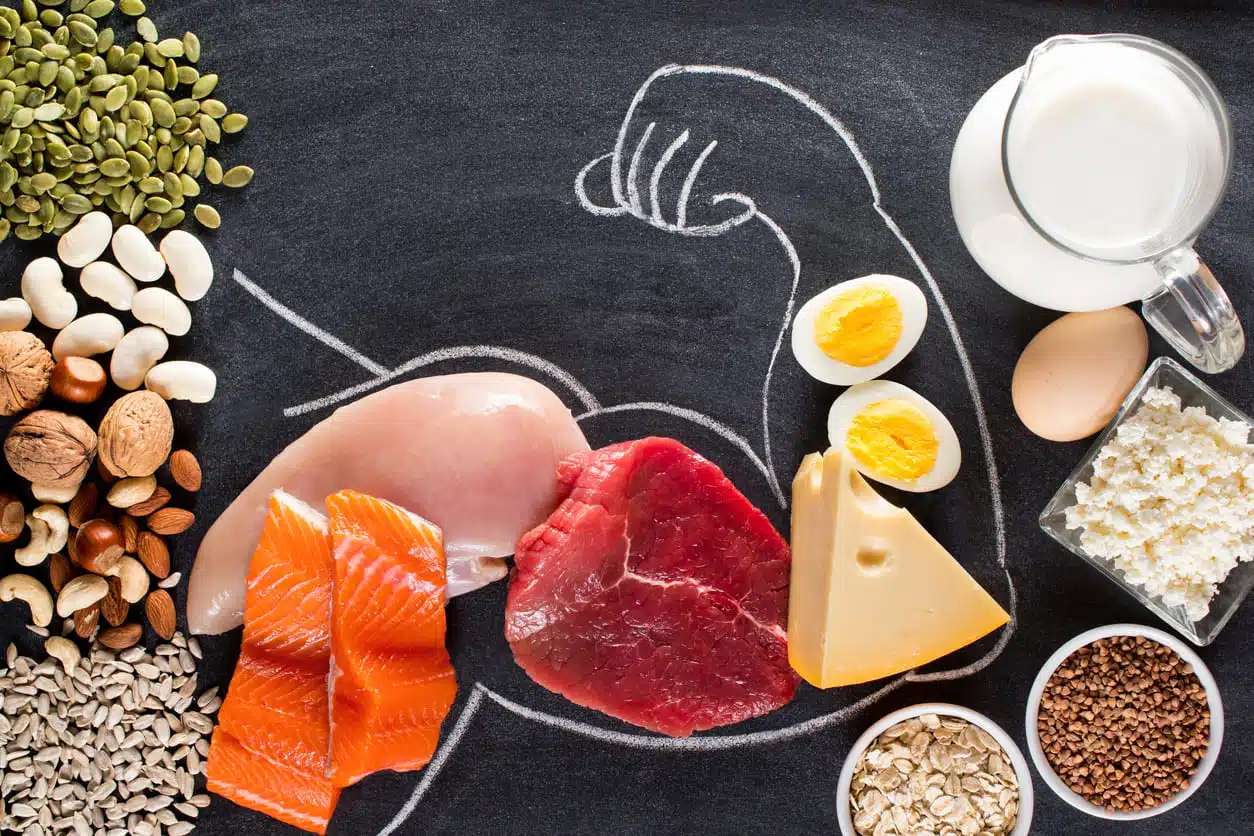 High protein foods