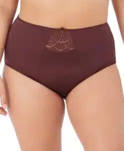 Cate Full Figure High Waist Briefs