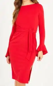 Frill Sleeve Bodycon Dress