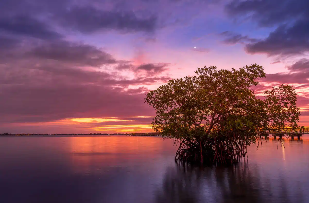 Port St. Lucie place to retire in florida