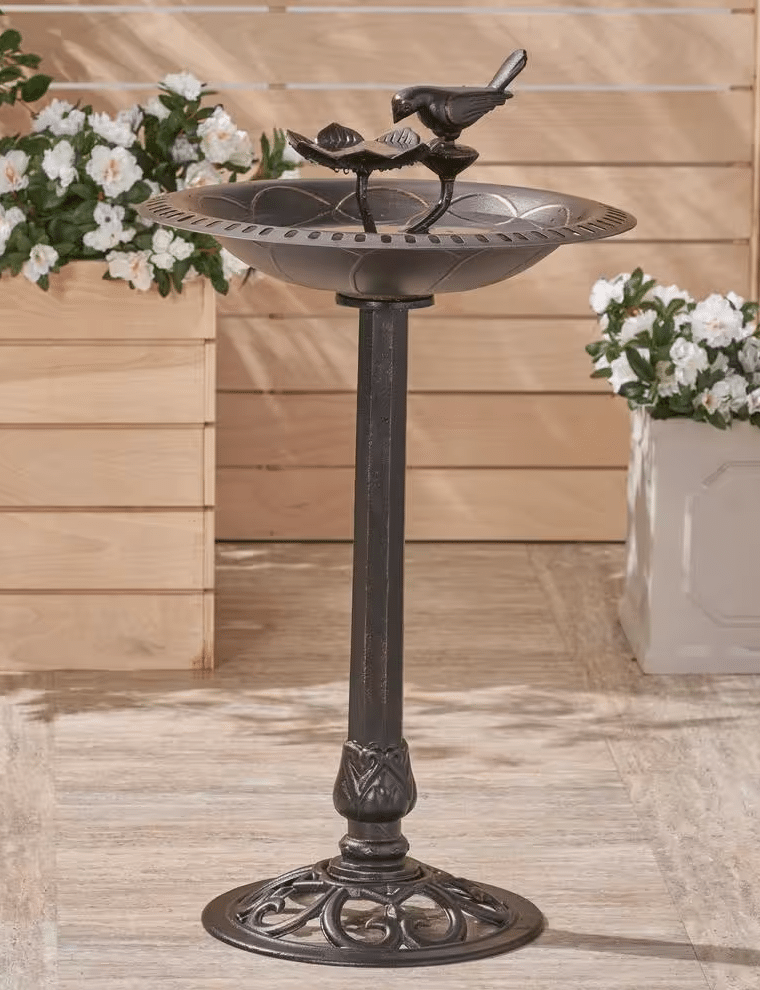 Prime Women Recommends Bird Bath