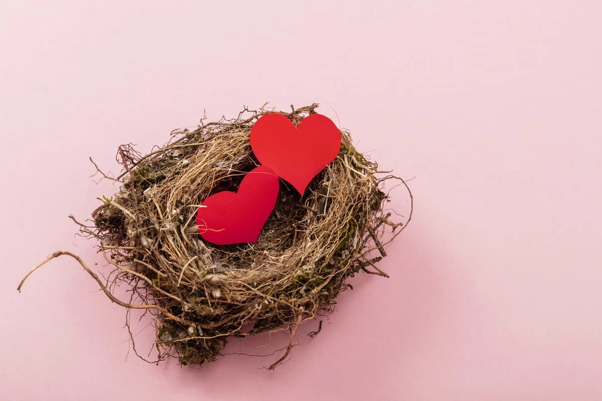 Reasons to love an empty nest feature