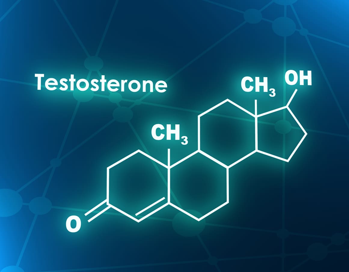 Testosterone diagram formula