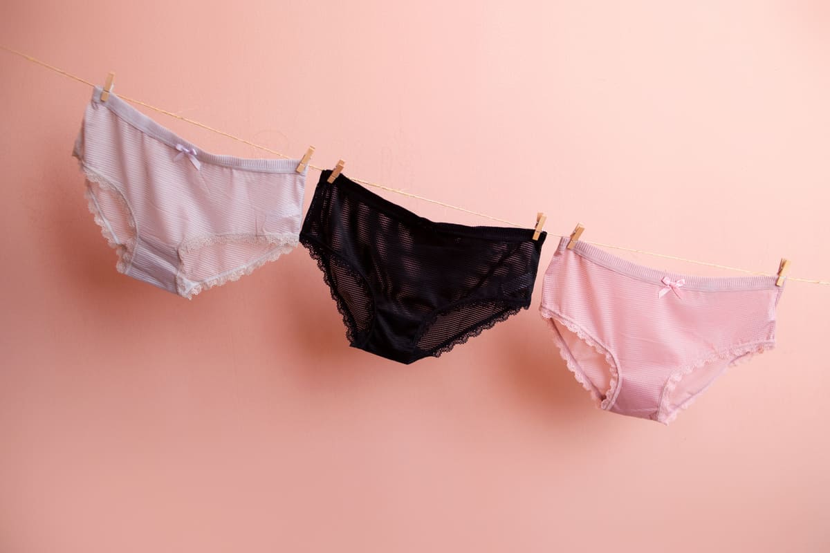 Anne Klein Panties Womens 2X Plus Briefs Full figure Underwear 5 Pack 