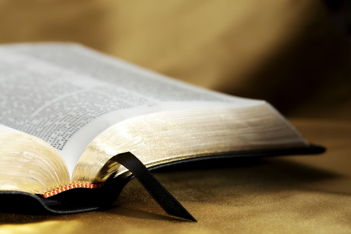 The Bible and nutrition
