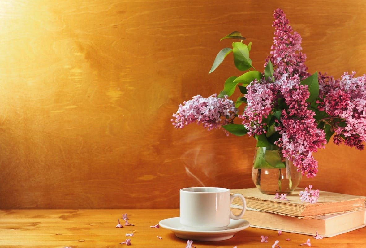 Morning tea for energy feature