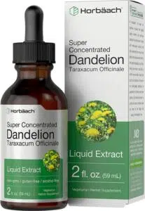 Dandelion Root Extract