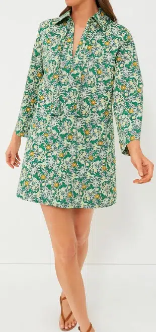 Tuckernuck Long Sleeve Green Carrington Collared Mini Dress (2 colors), $148