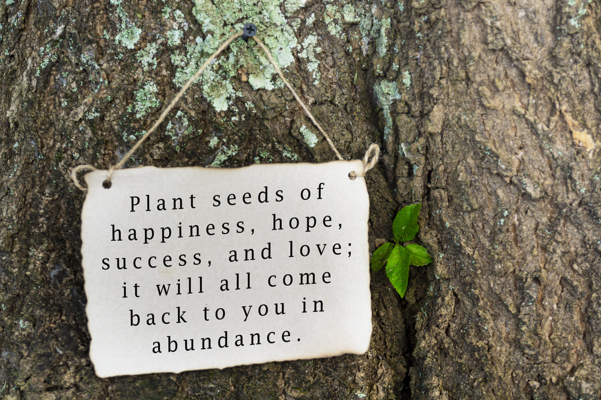 Inspirational quote about planting seeds