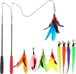 Cat Toys