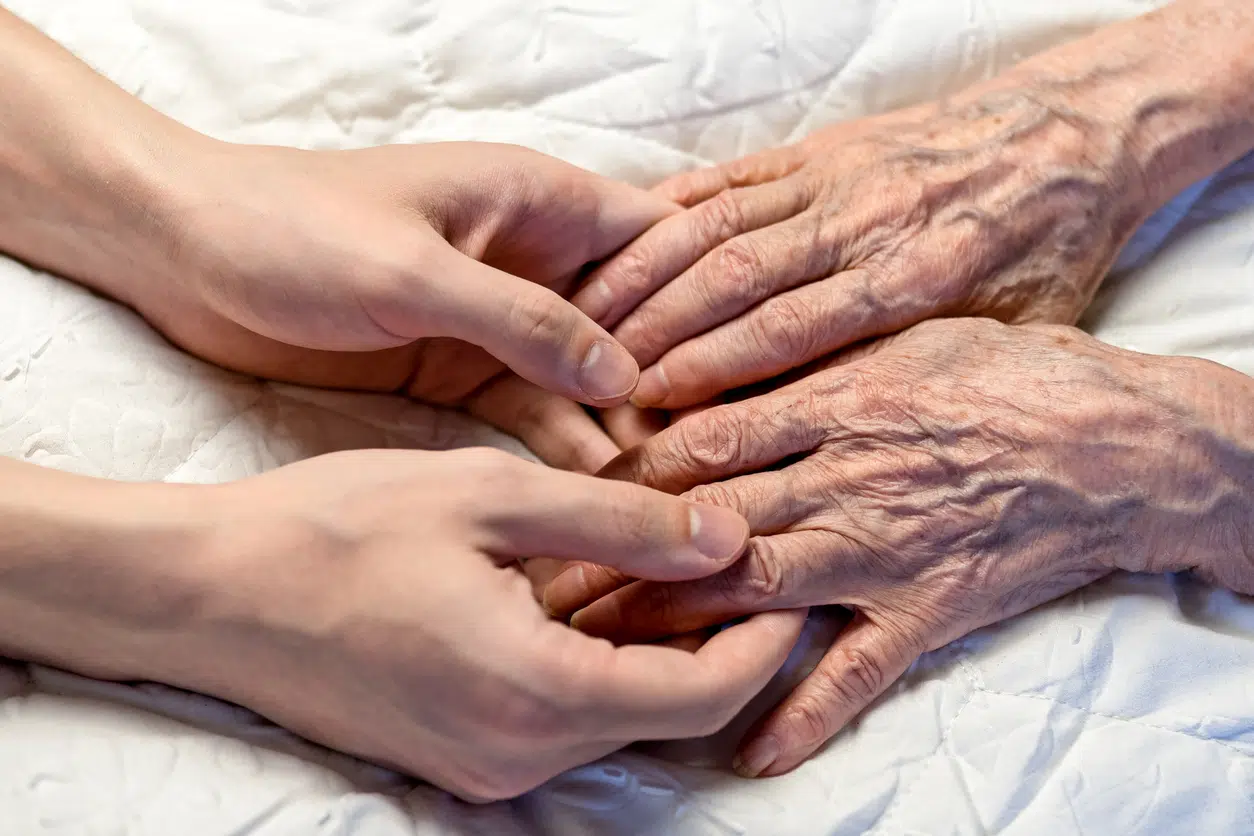 How fisetin slows aging