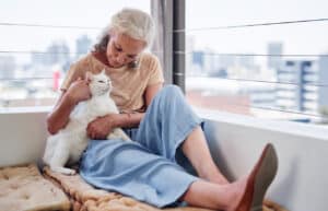 Reasons to Adopt a Cat after Retirement