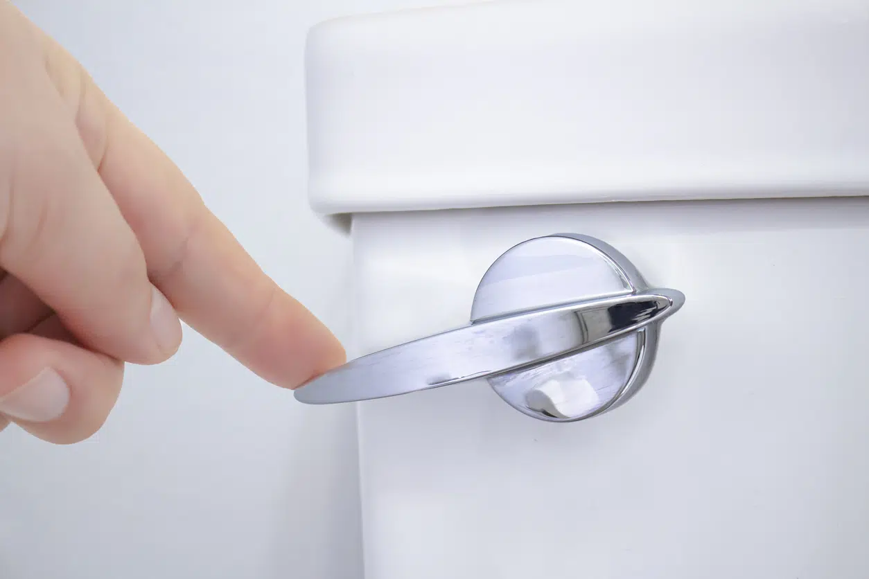 Flush out extra estrogen