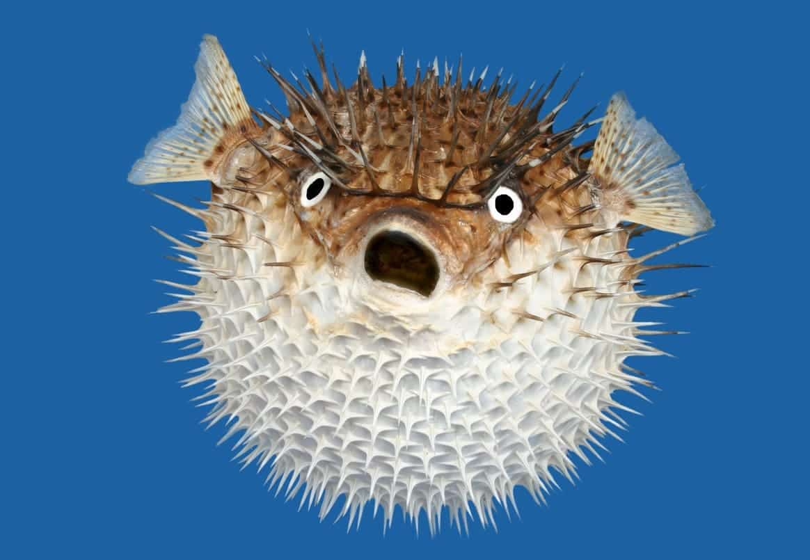 is alcohol making you bloated