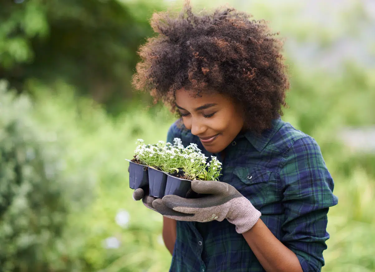 Smelling flowers and the 5 senses
