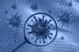 Common virus image