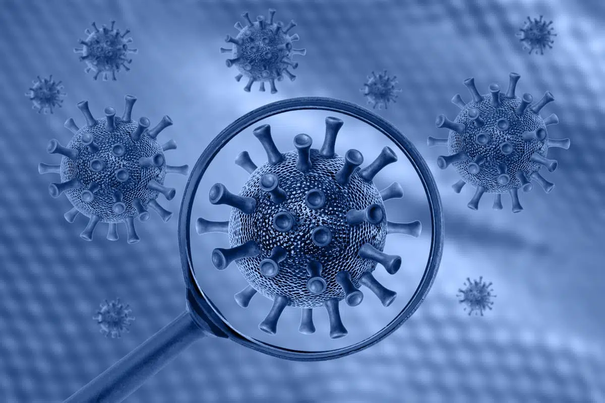 Common virus image