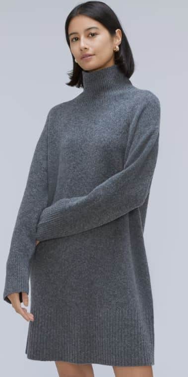 Everlane Cozy Stretch Turtleneck Dress