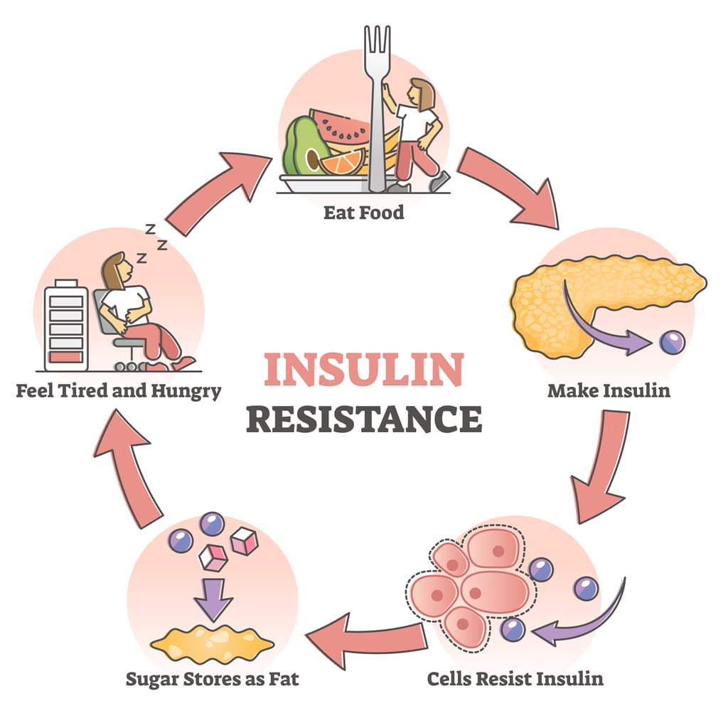 Insulin resistant graphic