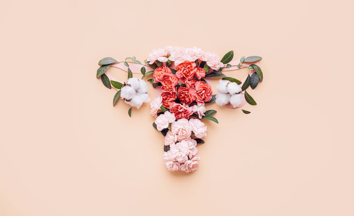 The Reality of Menopause concept