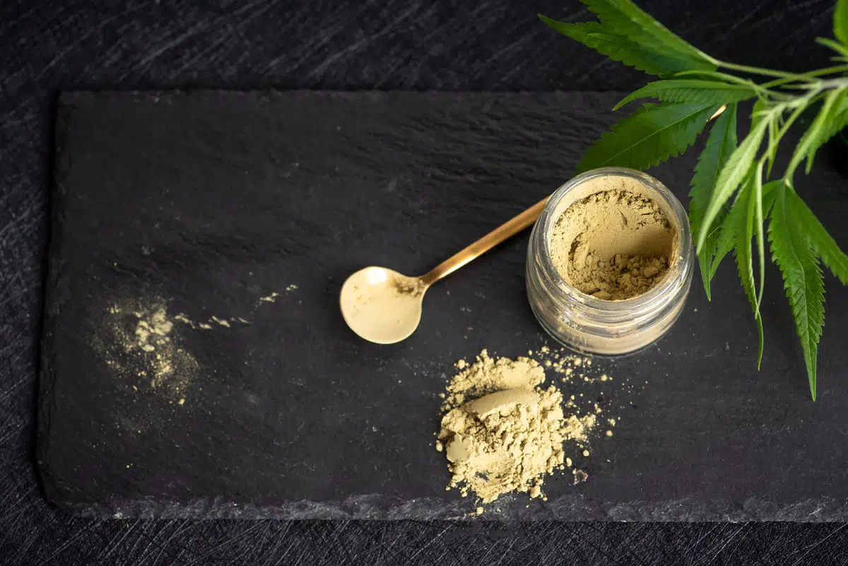Organic protein powder