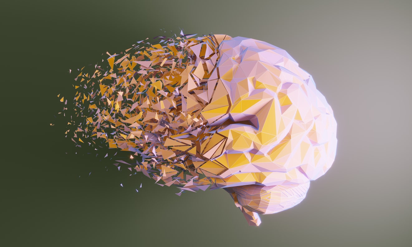 The Effects of High Body Fat on Your Brain