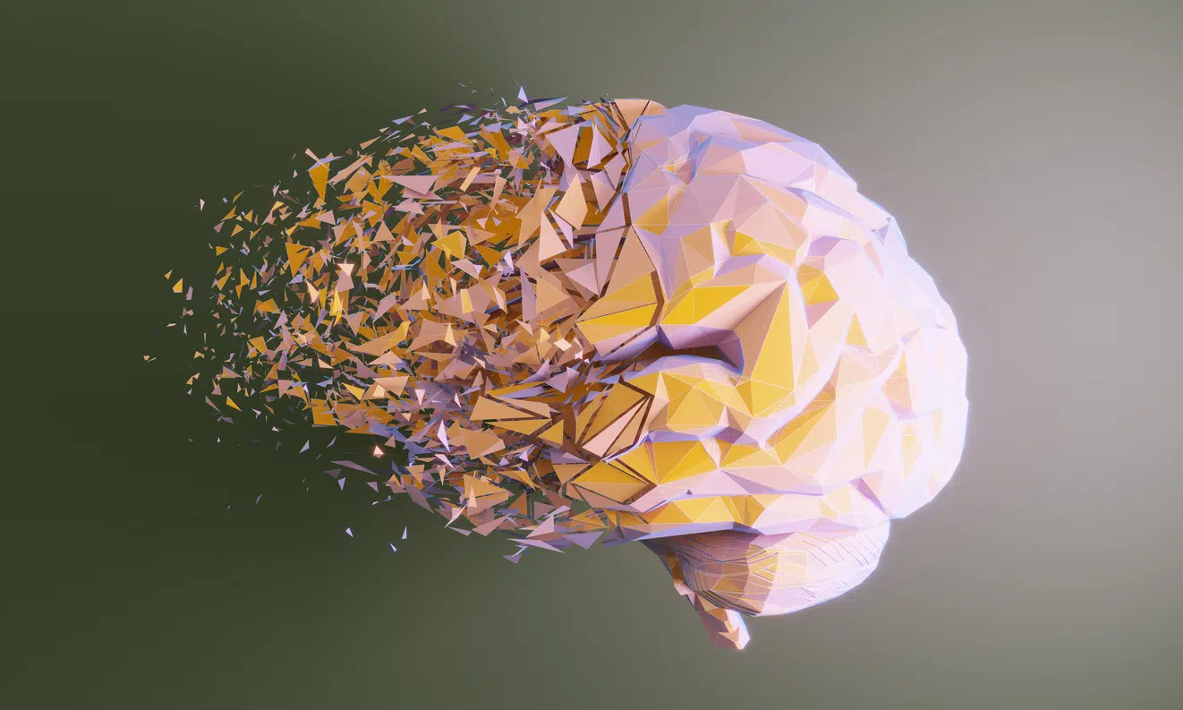 The Effects of High Body Fat on Your Brain