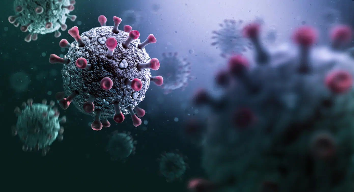 Virus
