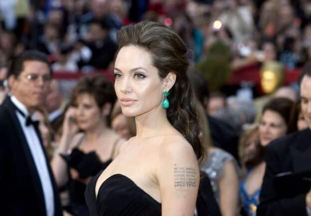 Angelina Jolie, coarse hair, pulled back, half pony