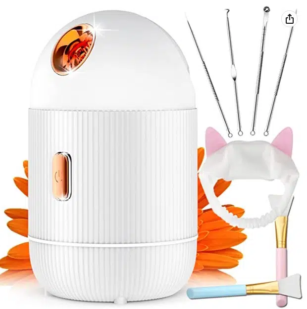 Mist Nano Ionic Facial Steamer