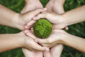Top eco-friendly and organic products