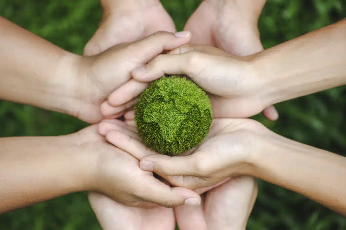 Top eco-friendly and organic products