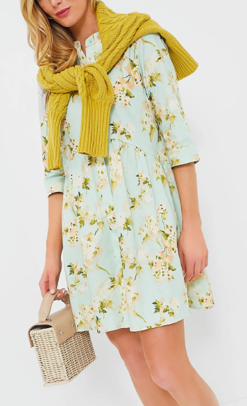 Tuckernuck Aqua Watercolor Royal Shirt Dress (9 colors) $188