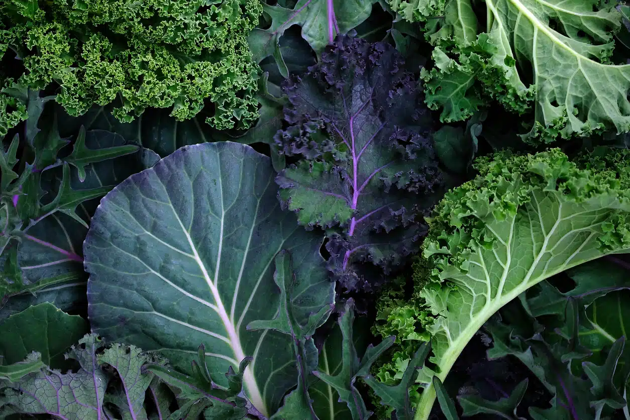 Foods with Glutamine Amino Acids
