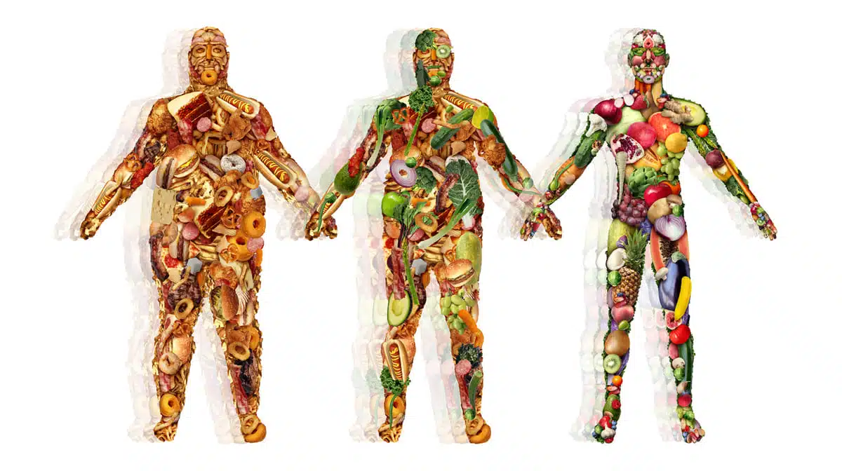 unhealthy food vs healthy food body type
