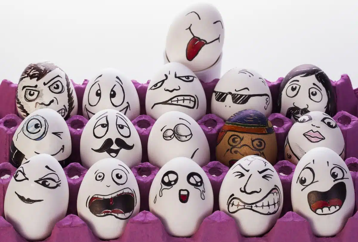 Eggs with funny faces