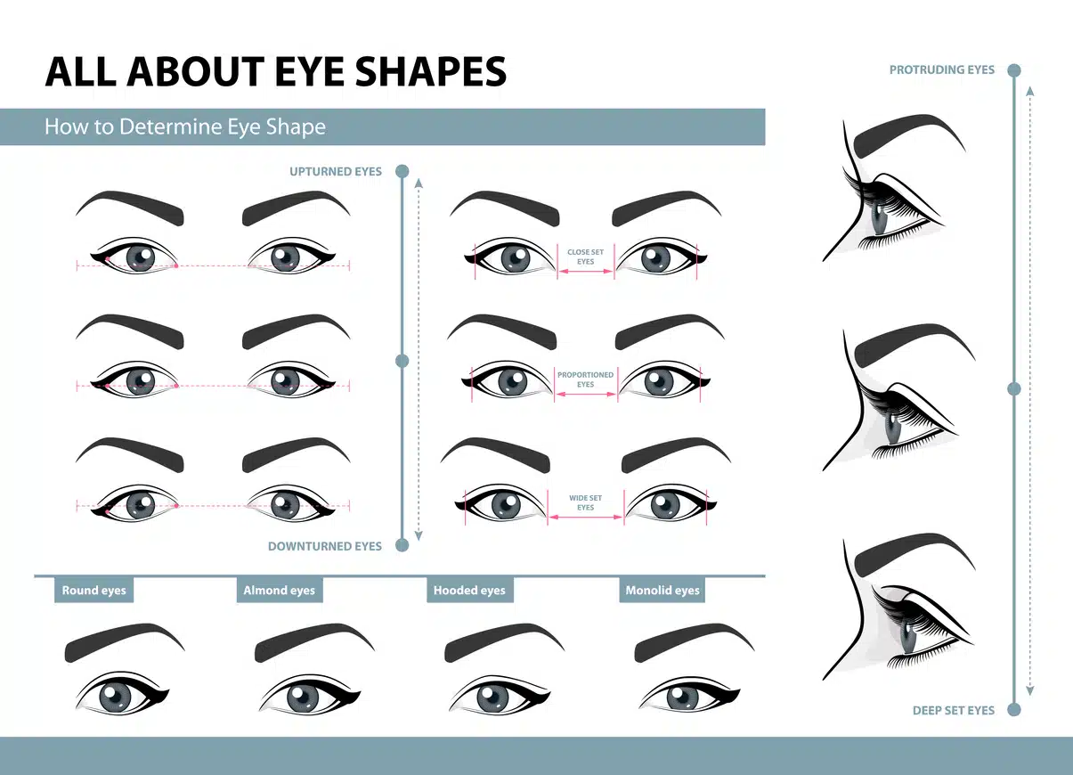 How to determine Eye Shape. 