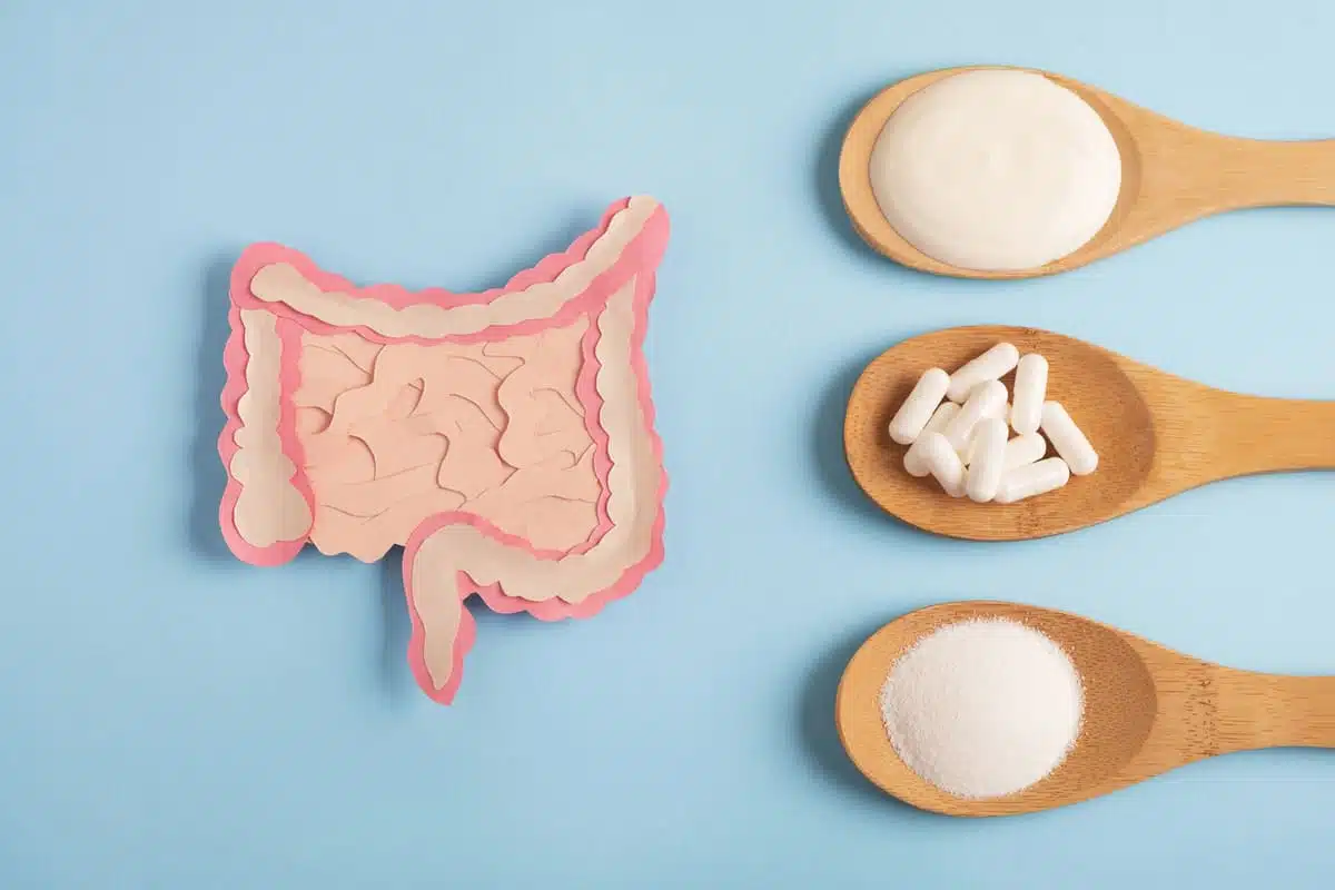 gut health and probiotics