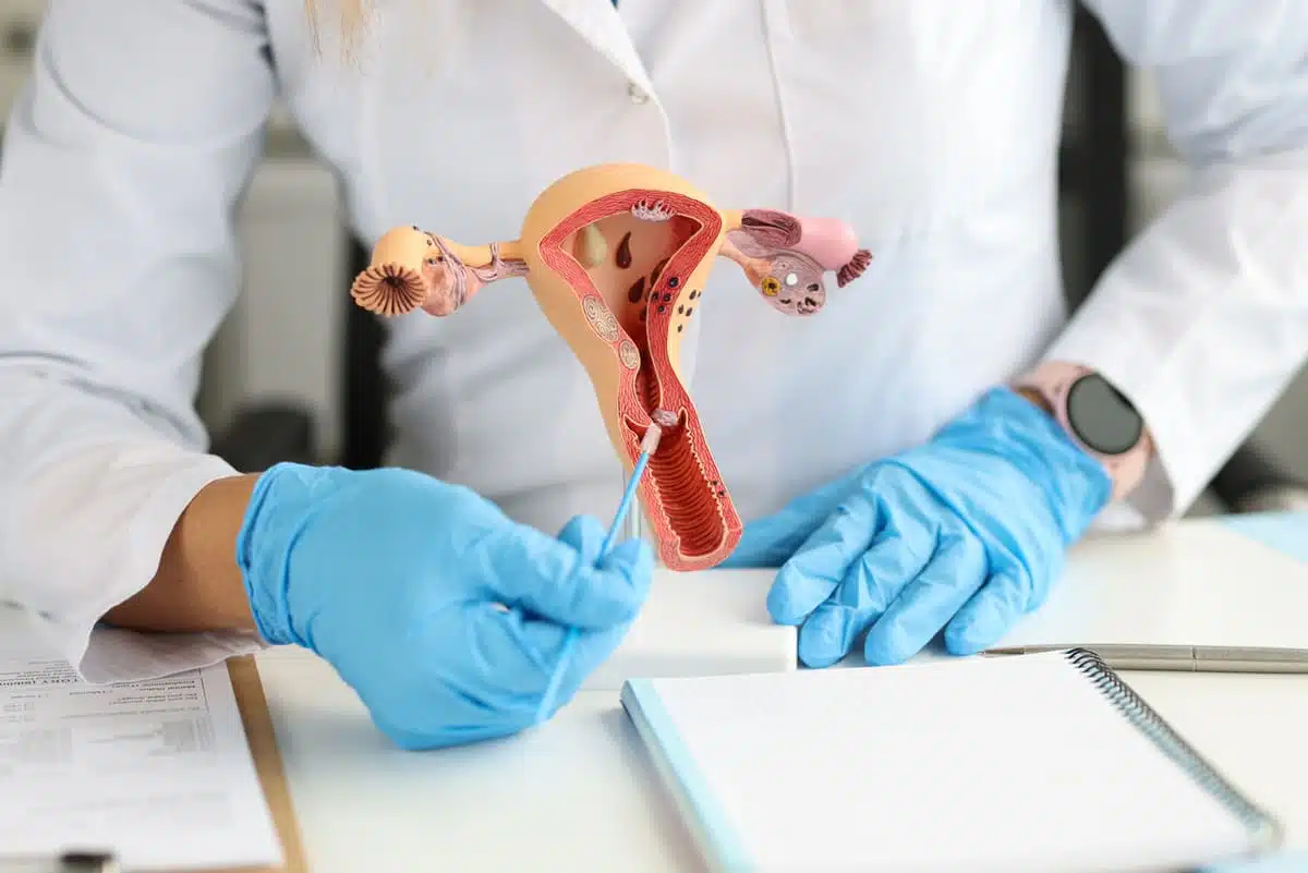 uterus