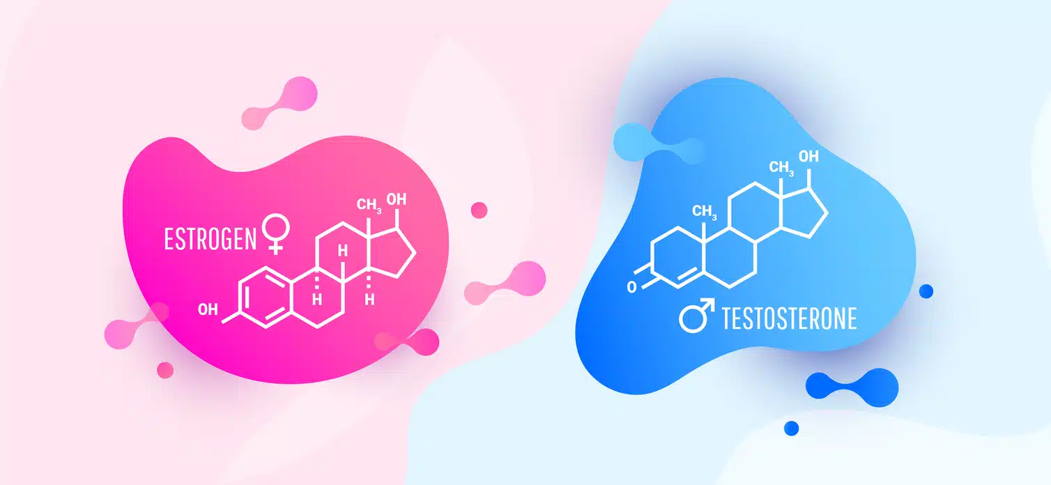 Estrogen and testosterone hormones