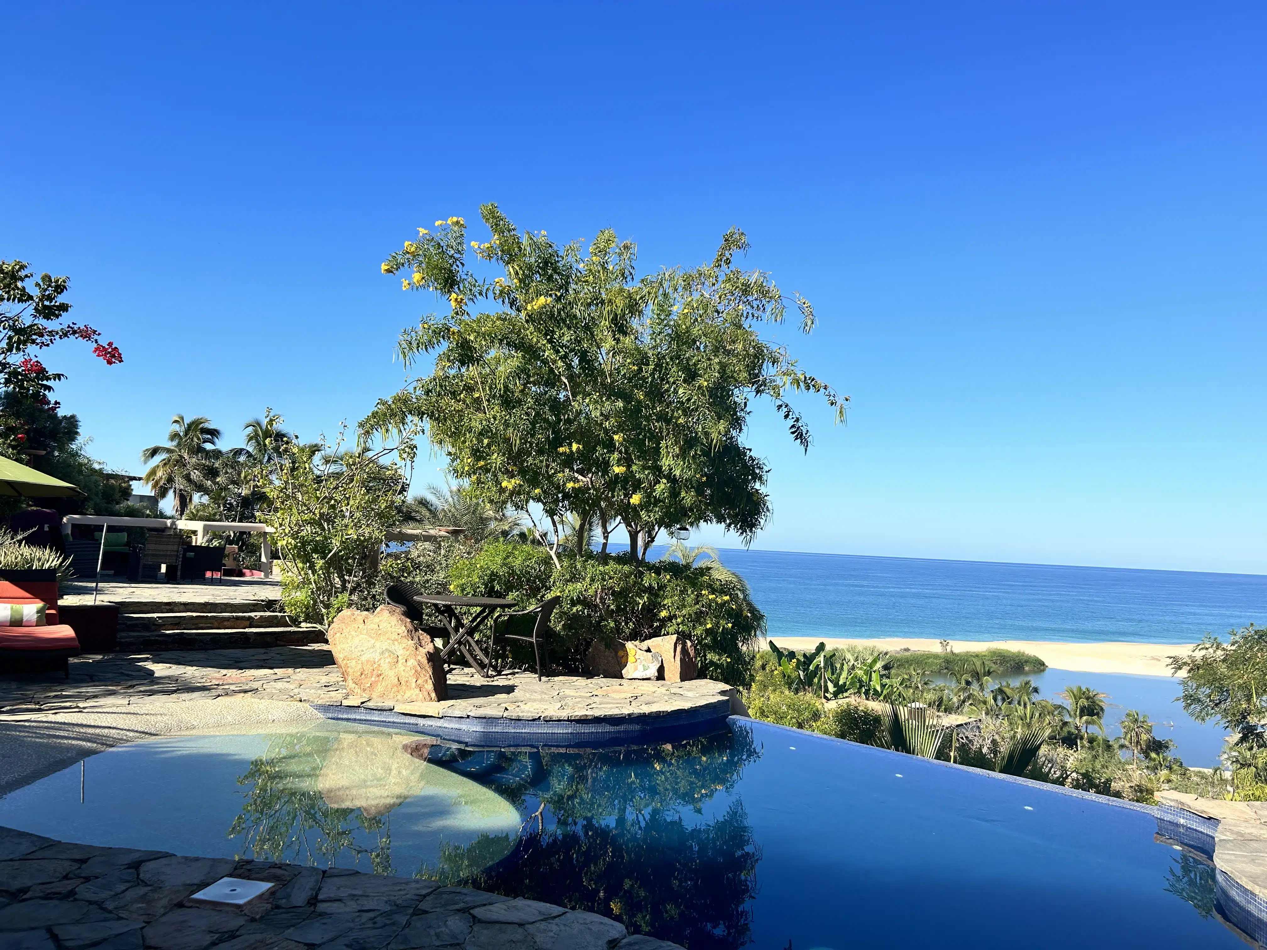 Los Colibris Hotel Todos Santos