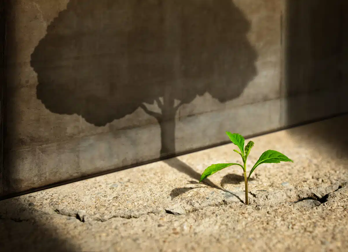 Optimism, dream big, growth