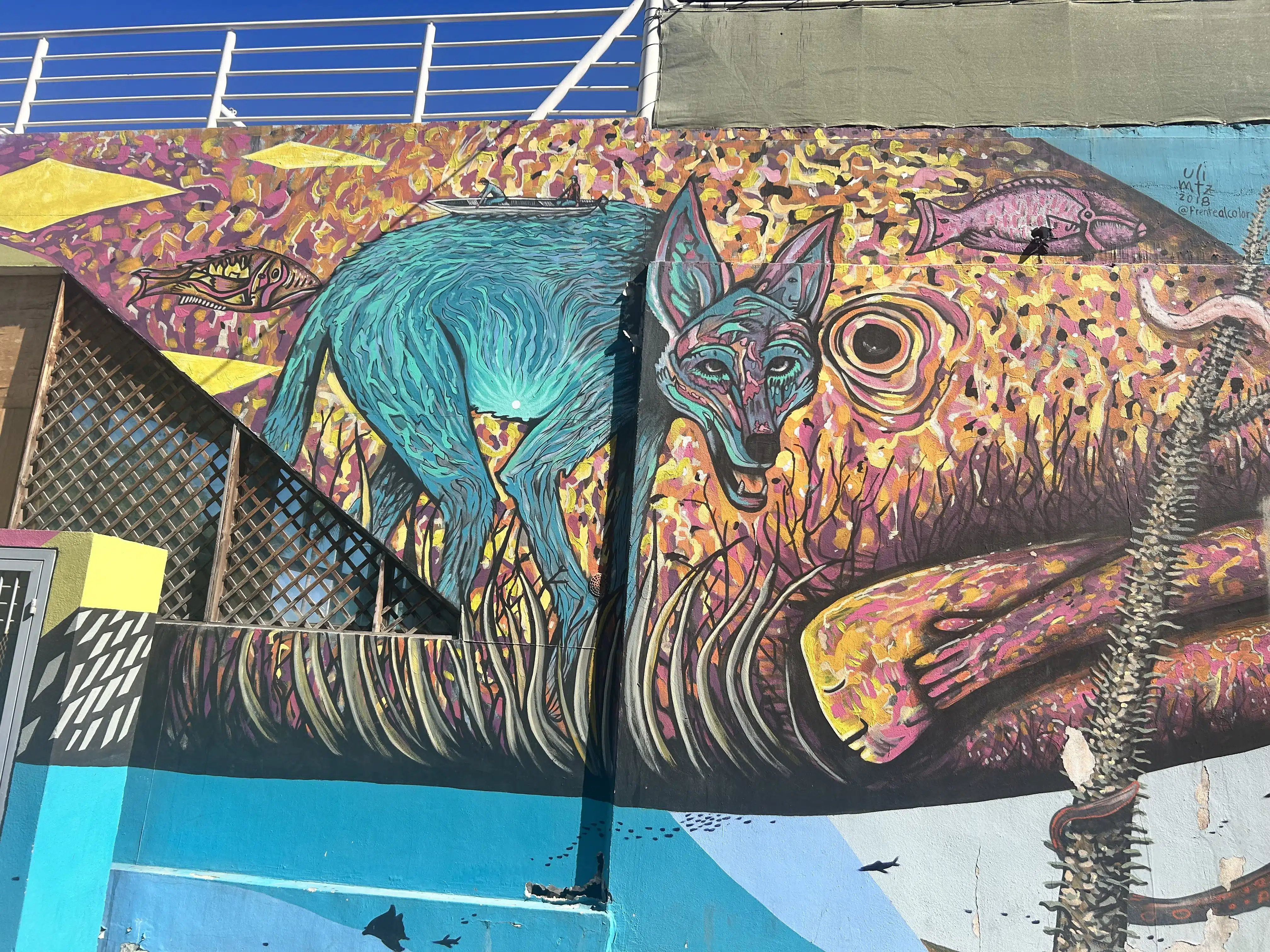 Plan a Trip to La Paz Mexico with Family