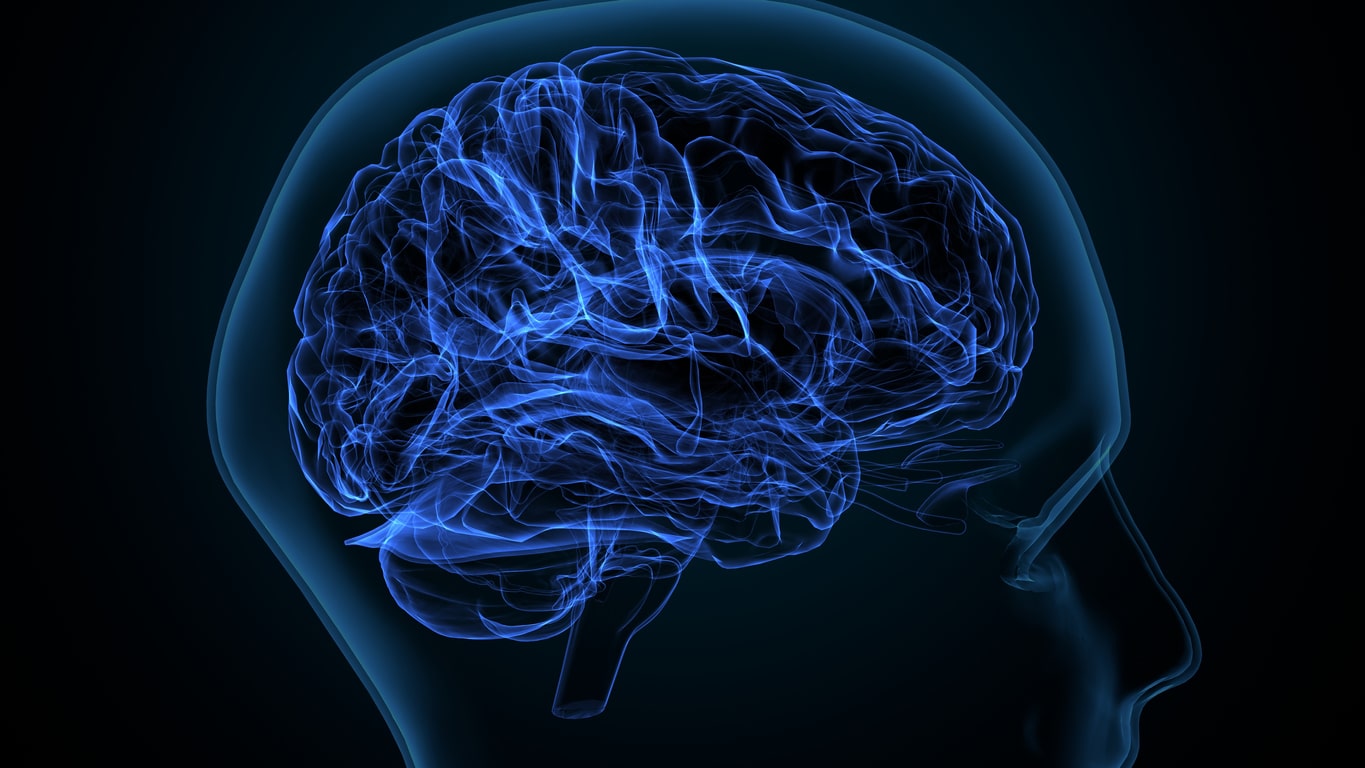 3d illustration of the brain; brain health; center for brain health; sandi chapman