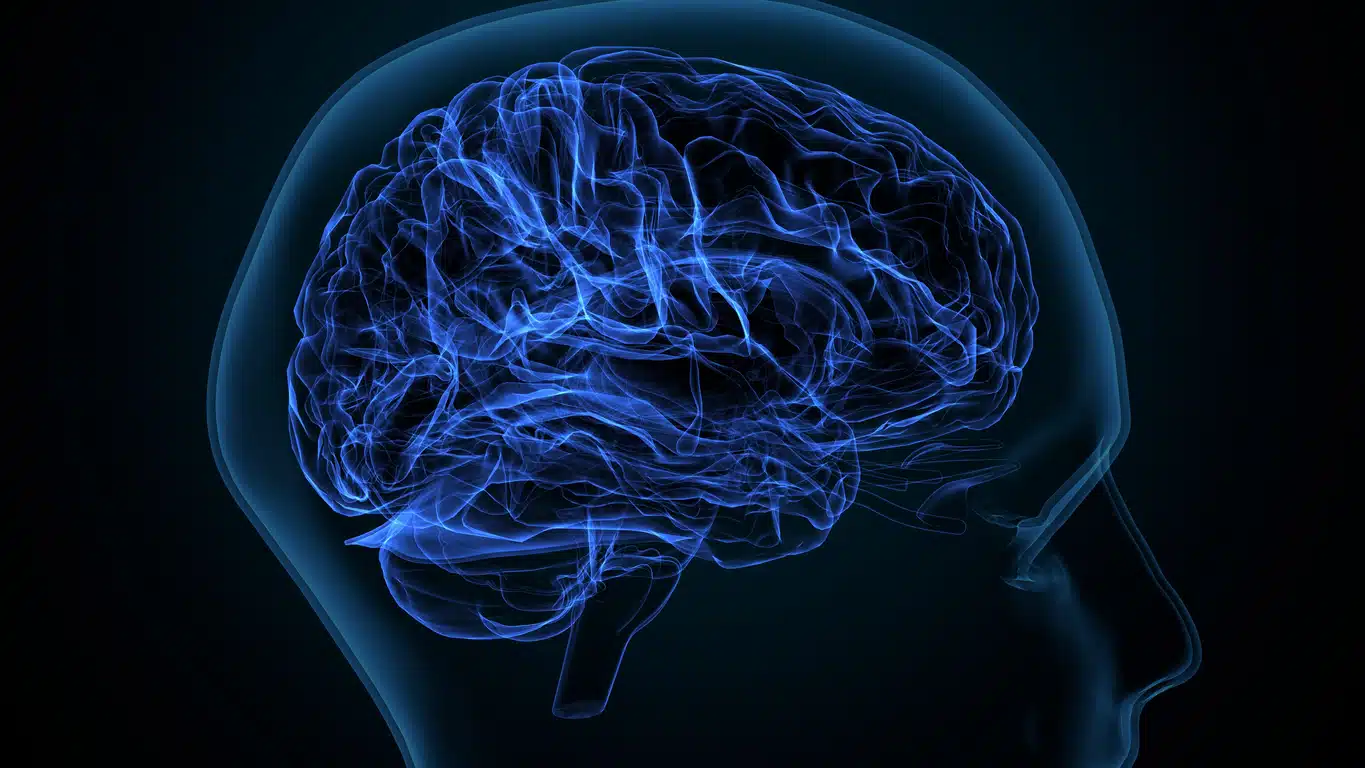 3d illustration of the brain; brain health; center for brain health; sandi chapman
