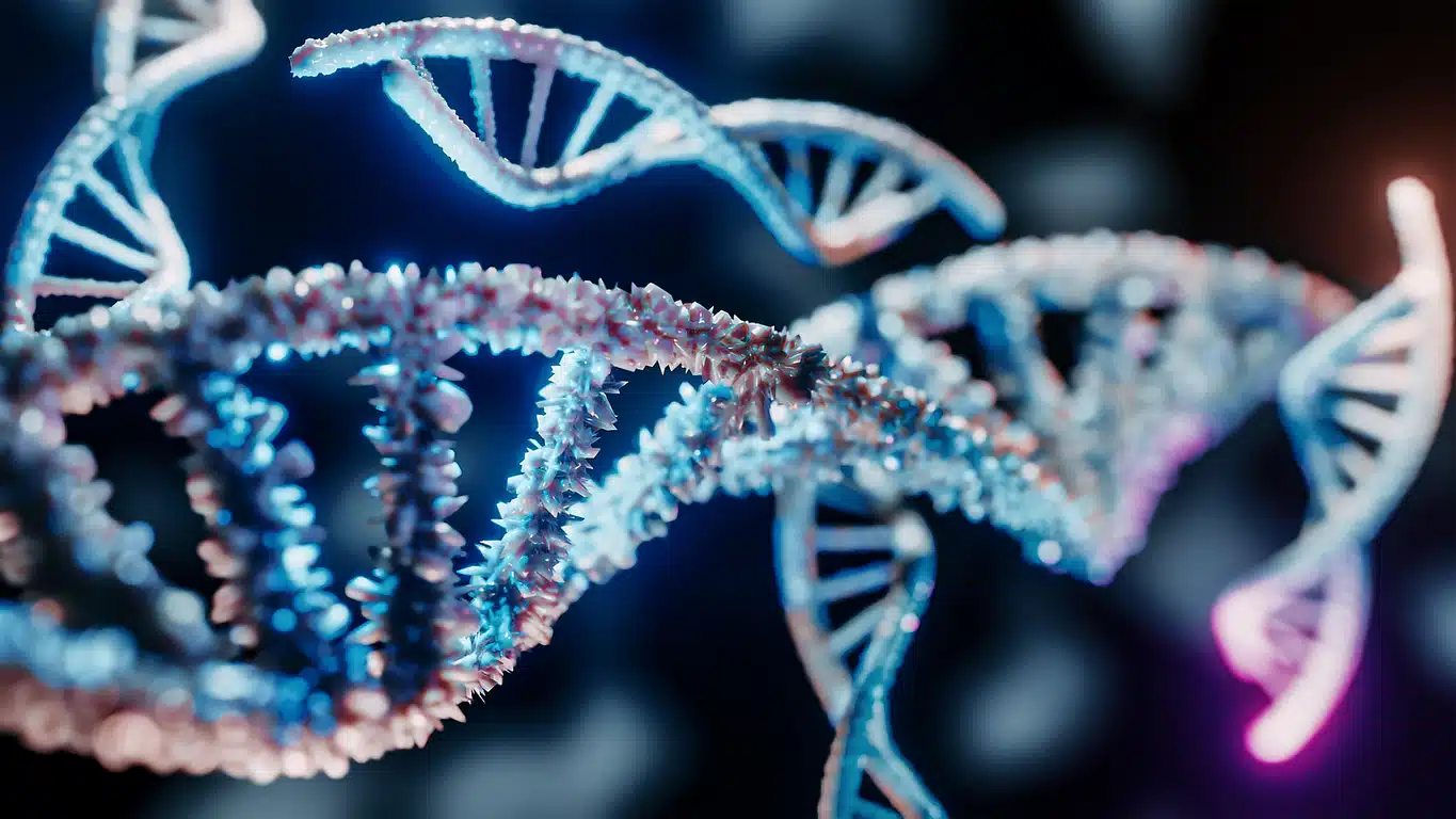 DNA helix