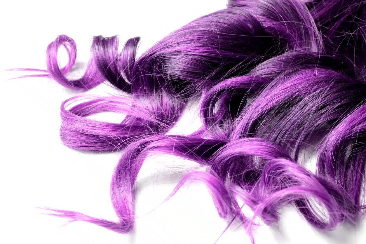 extreme purple hair color on white isolated background .