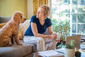 Miniature Golden Doodle Sitting on the Couch Next to his Owner