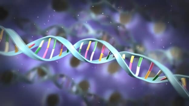 Stem cell biology. DNA Methylation and Cellular Reprogramming 3D illustration